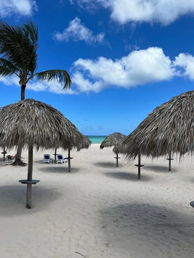 Fully Renovated Beachfront 1Br Condo In The Gated Stanza Mare Community With A Private Beach, Pool, Onsite Restaurant And Modern Amenities Such As Refrigerator, Dishwasher, Filtered Water, Microwave, Bbq, Washer Dryer, Bamboo Linens, Free Wi-Fi プンタ・カナ