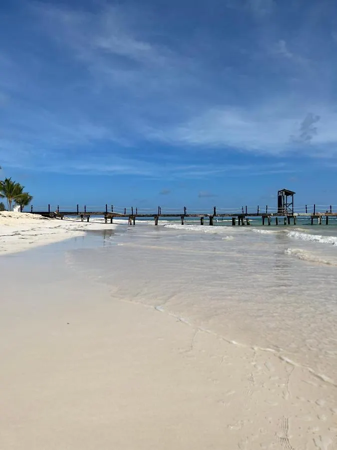 アパート Fully Renovated Beachfront 1Br Condo In The Gated Stanza Mare Community With A Private Beach, Pool, Onsite Restaurant And Modern Amenities Such As Refrigerator, Dishwasher, Filtered Water, Microwave, Bbq, Washer Dryer, Bamboo Linens, Free Wi-Fi プンタ・カナ ドミニカ共和国
